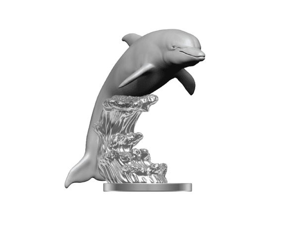 Dolphins Wizkids